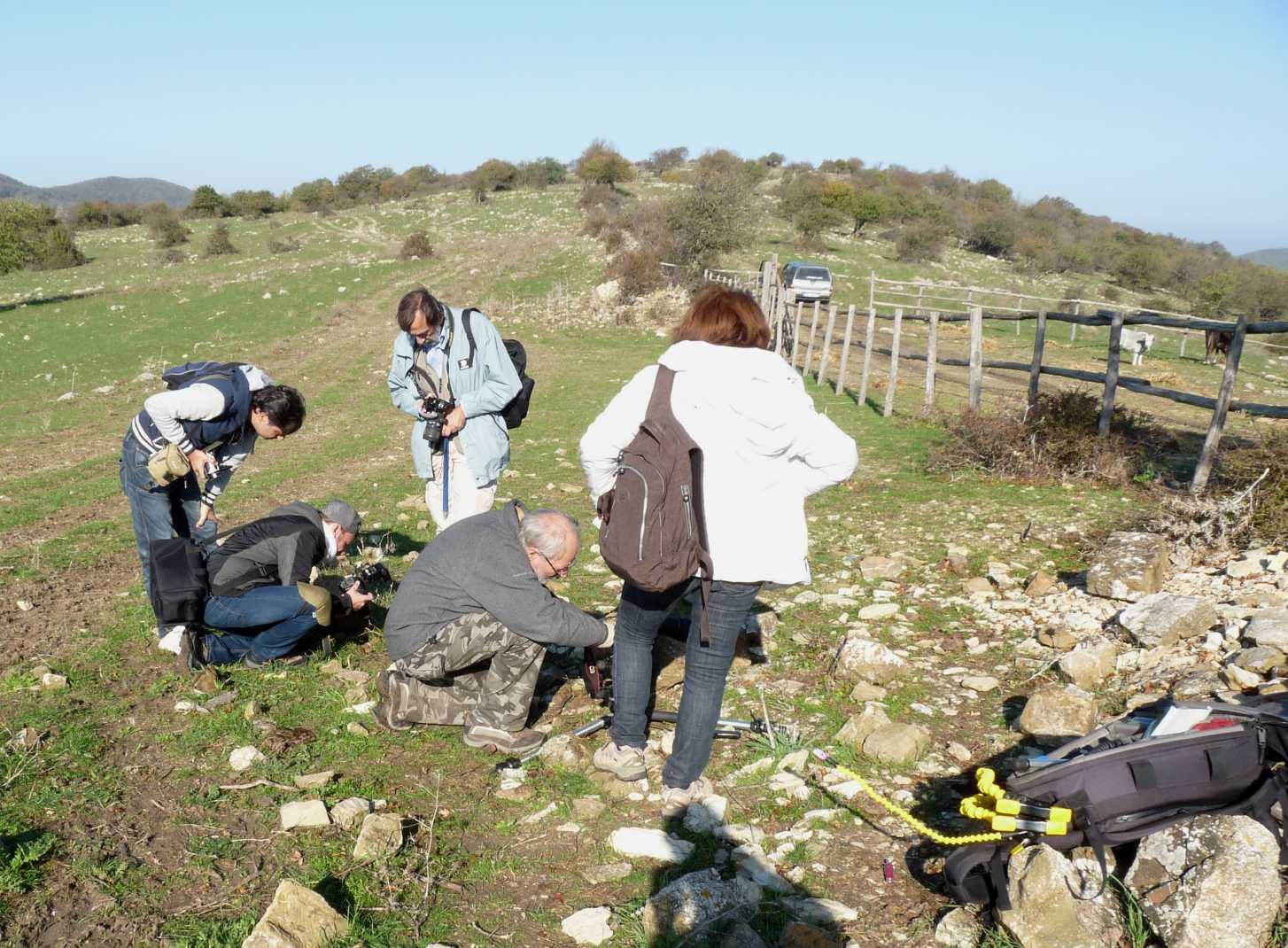 Incontro di Natura Mediterraneo 5 (->12) novembre 2011